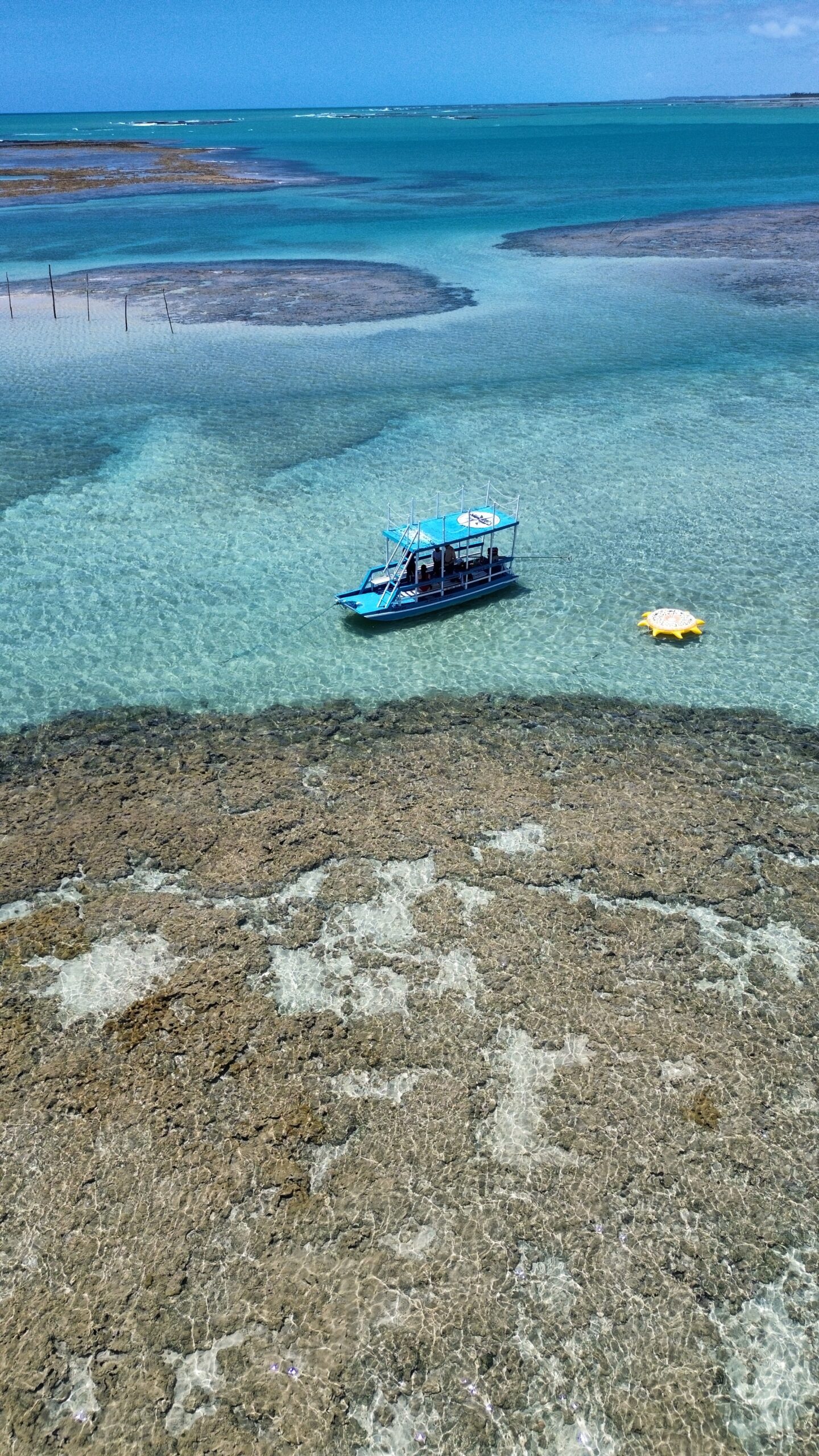 dji_fly_20231031_102234_574_1698785674684_photo_optimized
